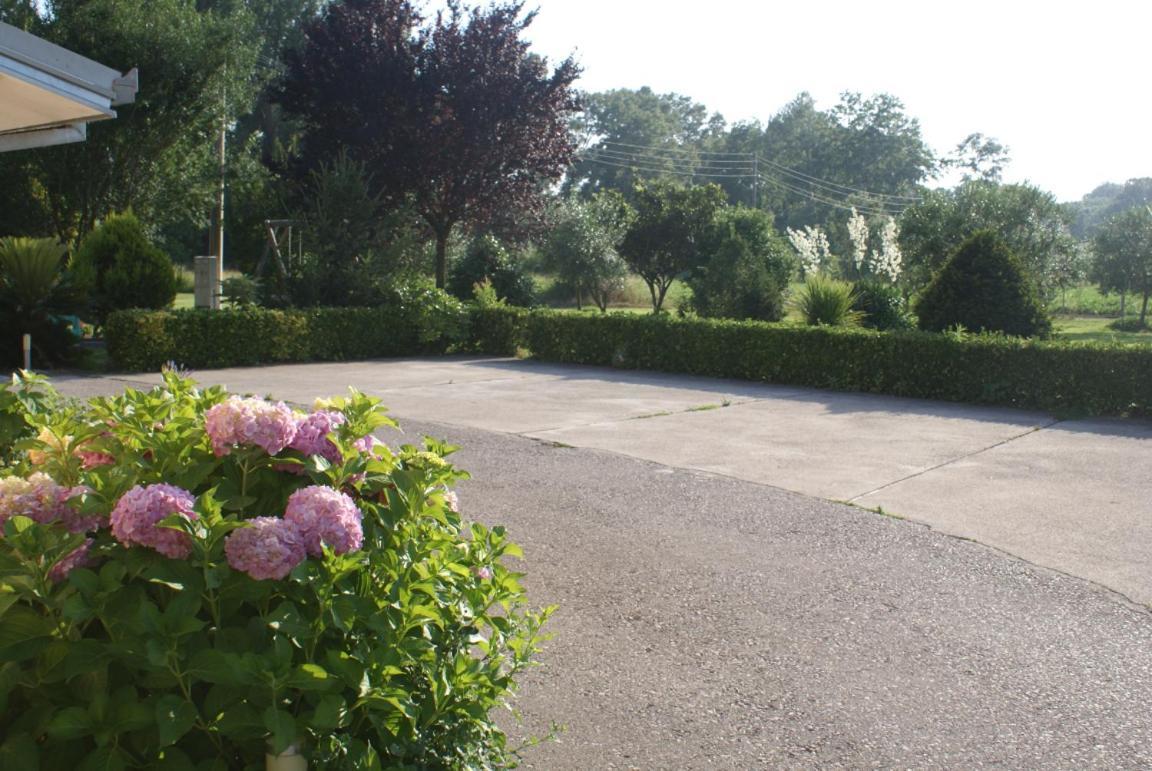 Helena'S Sweet Home Ulcinj Luaran gambar